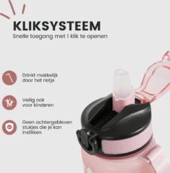 Lacardia Nederlandse Motivatie Waterfles Rosé Goud 'Nederlandse Tekst' - Drinkfles Met Rietje - Waterfles 1 Liter - Waterfles Met Tijdmarkering -Drinken Goedkope Winkel 1183x1200 2