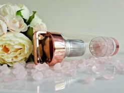 Duurzame Waterfles Met Kristal - Roségoud - Roestvrij Staal - Rozenkwarts Edelstenen - Verrijkt En Verzacht Water - Inclusief Thee/fruit Infuser - Edelstenen - 550 Ml - Waterfles - Drinkfles -Drinken Goedkope Winkel 1200x900 3