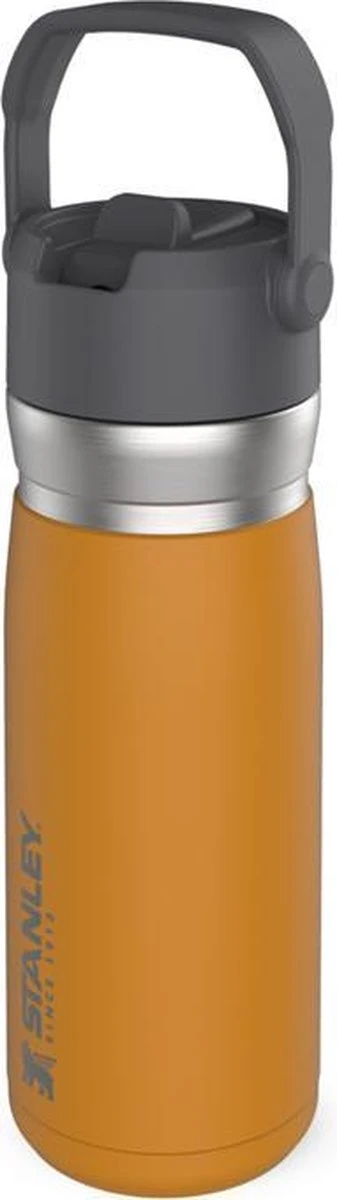 Stanley The IceFlow™ Flip Straw Water Bottle 0,65L - Thermosfles - Saffron 2 Stanley The IceFlow™ Flip Straw Water Bottle 0,65L - Thermosfles - Saffron - Afbeelding 2