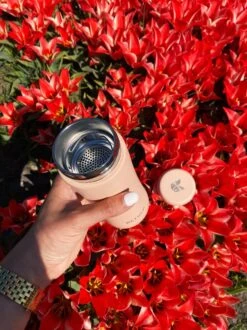 Retulp - Tumbler Thermosbeker – Champagne Pink – 300 Ml - Thermosfles - Roze -Drinken Goedkope Winkel 899x1200